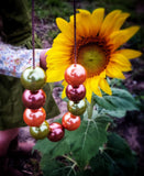 Harvest Cord Necklace